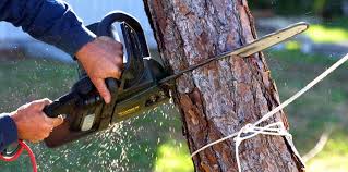 Soil Testing and Treatment in Watsessing, NJ
