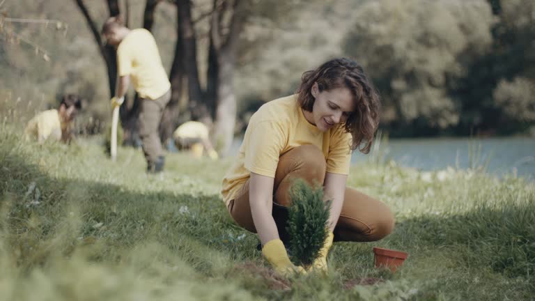 Best Lawn Pest Prevention  in Watsessing, NJ